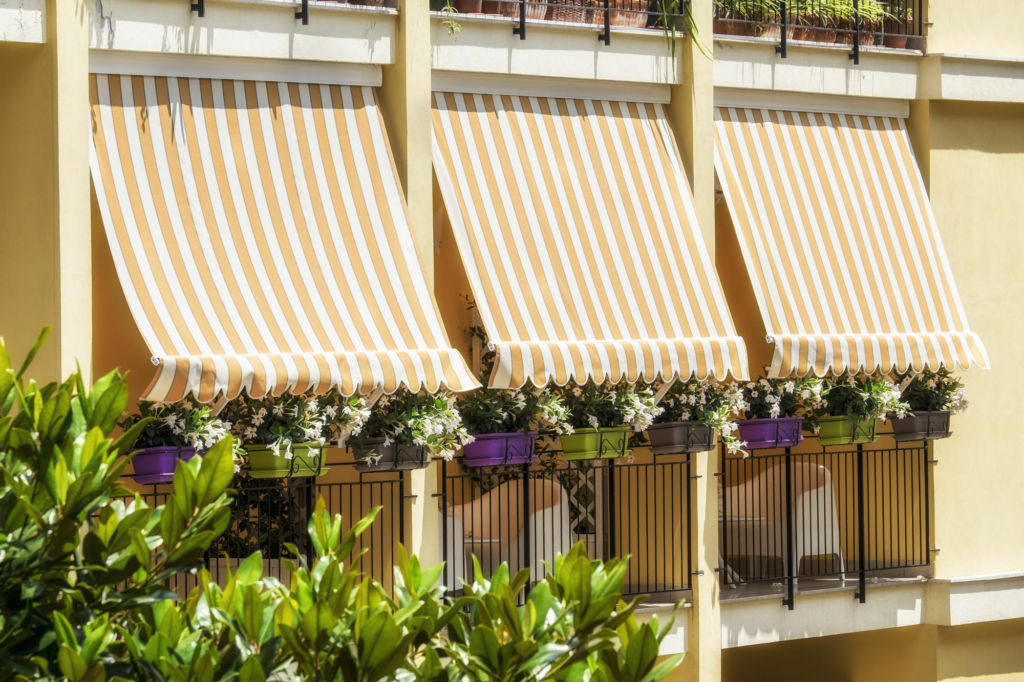 Al Parco Verde B&B Sorrento Exterior photo